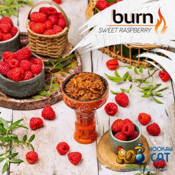 Заказать кальянный табак Burn Sweet Raspberry (Берн Малина) 25г онлайн с доставкой всей России